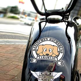 ダックスステッカー　通販