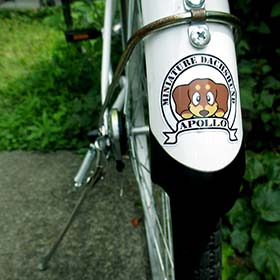 ダックスステッカー　通販