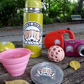 ダックスステッカー　通販