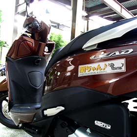 ダックスステッカー　通販