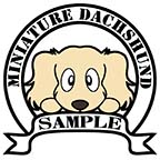 ダックスフンド　クリーム