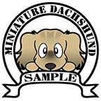 ダックフンド　クリームブリンドル