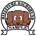 ダックスフンド　チョコソリッド