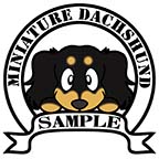 ダックスフンド　ブラックタン