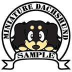 ダックスフンド　ブラッククリーム