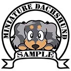 ダックスフンド　シルバーダップル