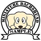 ダックスフンド　ピュアクリーム