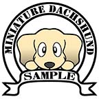 ダックスフンド　シェイデッドクリーム