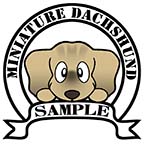 ダックフンド　クリームブリンドル