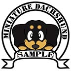 ダックスフンド　ブラックタン