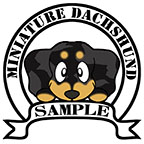 ダックスフンド　ブラックタンダップル