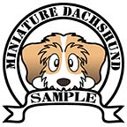 ダックスフンド　レッドパイボールド