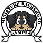 ダックスフンド　ブラックタン