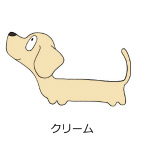 ダックスフンド　クリーム