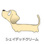 ダックスフンド　シェイデッドクリーム