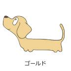 ダックスフンド　ゴールド