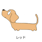 ダックスフンド　レッド