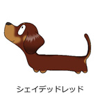 ダックスフンド　シェイデッドレッド