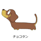 ダックスフンド　チョコレートタン