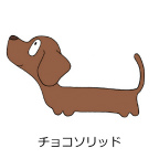 ダックスフンド　チョコソリッド
