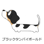 ダックスフンド　ブラックタンパイボールド