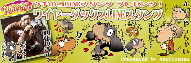 LINEスタンプ　ミニチュアダックスフンド