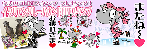 LINEスタンプ　イタリアングレーハウンド