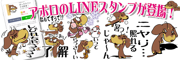 LINEスタンプ　ミニチュアダックスフンド