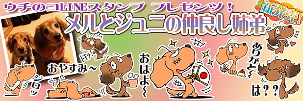 LINEスタンプ　ミニチュアダックスフンド