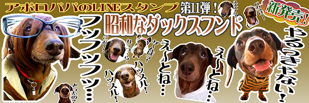 LINEスタンプ　ミニチュアダックスフンド