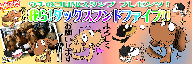 LINEスタンプ　ミニチュアダックスフンド
