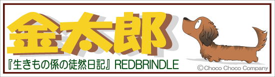 1匹入れダックスステッカー　ブログ名入れ