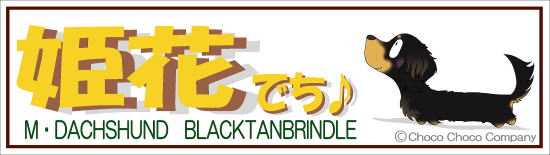 1匹入れダックスステッカー