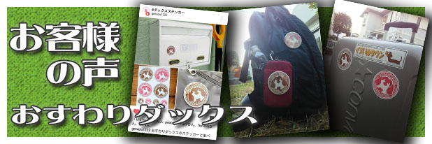 ダックスフンド　おすわりダックス