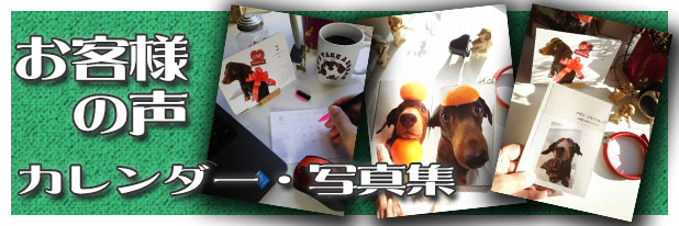 ダックスフンド　カレンダー　写真集