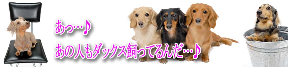 ダックスステッカー　口コミ　評判