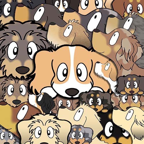 ダックスフンド　毛色