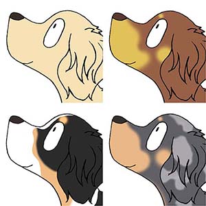 ダックスフンド　毛色　イラスト