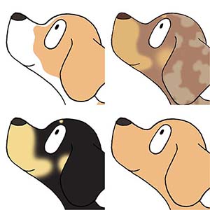 ダックスフンド　毛色　イラスト