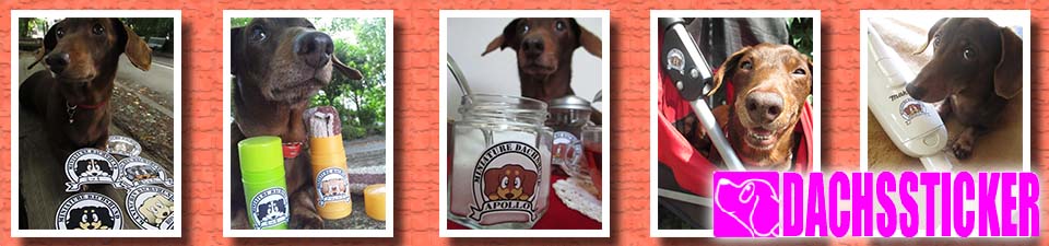 ステッカー　ダックスフンド
