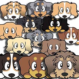 ダックスフンド　毛色　種類