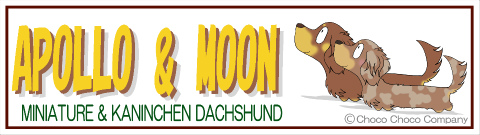 2匹入れダックスステッカー