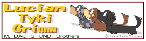 3匹入れダックスステッカー