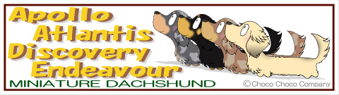 4匹入れダックスステッカー