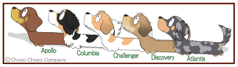 5匹入れダックスステッカー