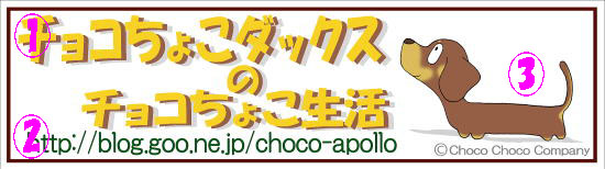 ＨＰ名、ブログ名表記例