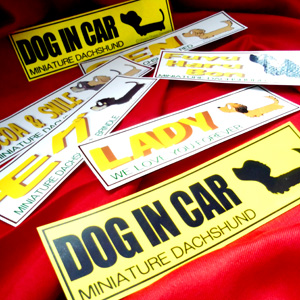 ダックスステッカー