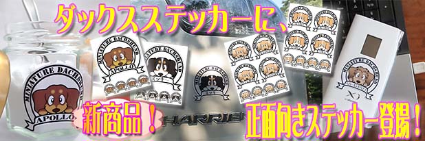 ダックスステッカー　使用例
