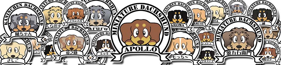 ステッカー　ダックスフンド