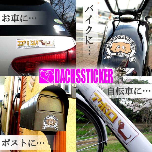 ダックスステッカー　使用例